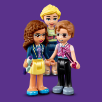 LEGO Friends heartlake city school 41682